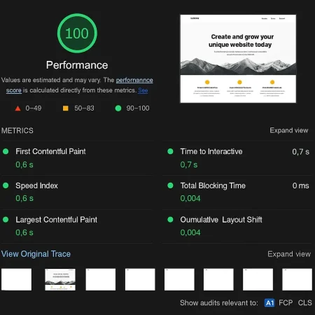 SiteGround speed test results showing perfect 100 performance score and fast load metrics for SiteGround vs GoDaddy hosting comparison.